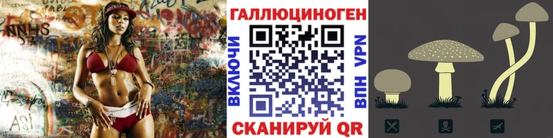 как найти закладки  Нарткала  Галлюциногенные грибы прущие грибы 